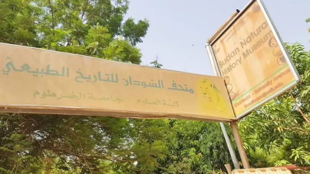 متحف السودان للتاريخ الطبيعي الخرطوم.jpg