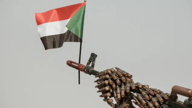 سلاح - علم .jpg