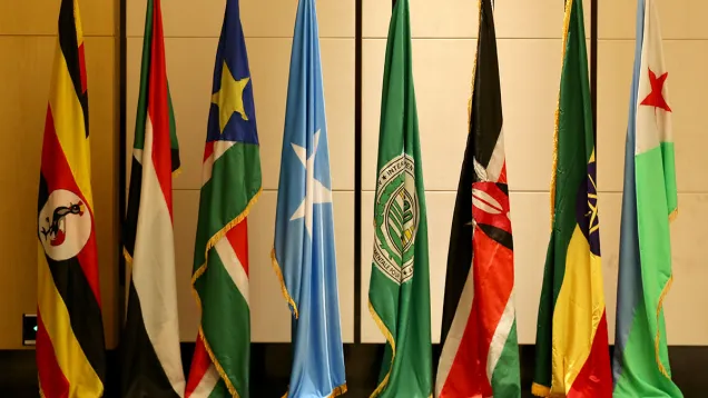 IGAD-Flags.jpg