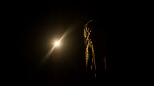لمعان - ظلام.jpg