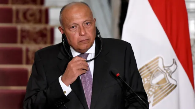 وزير الخارجية المصري سامح شكري.jpg