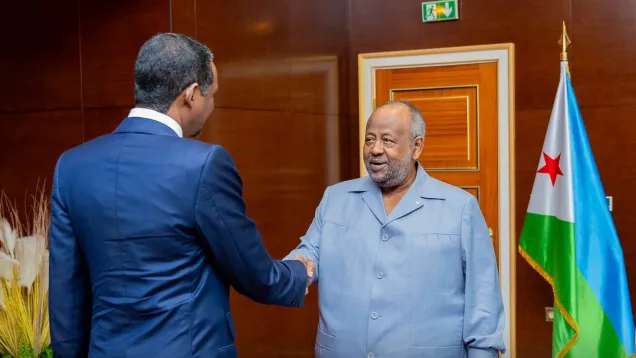 التقى قائد قوات الدعم السريع محمد حمدان دقلو، اليوم الأحد، برئيس جمهورية جيبوتي إسماعيل عمر جيله..jpeg