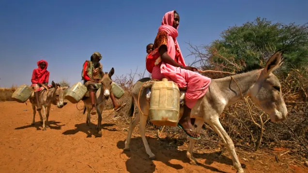 سودانيات.jpg