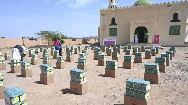 السلال الغذائية قطر الخيرية.jpg
