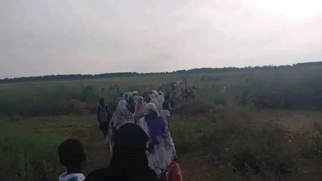 نزوح سنار.jpg