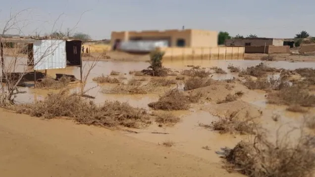 السيول في الكاسنجر.jpg