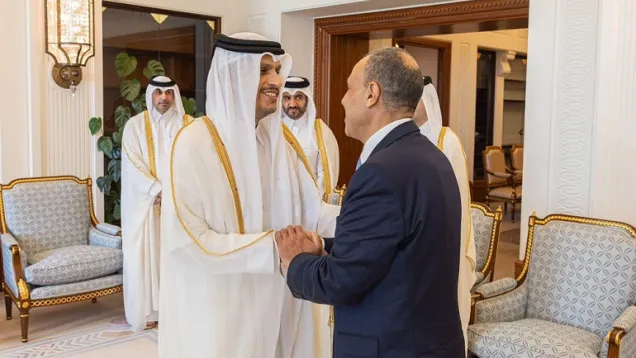 وزير الخارجية القطري ونظيره المصري.jpg