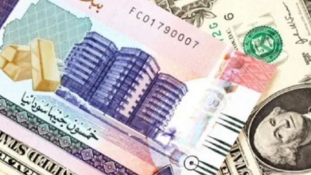 US dollar against the Sudanese pound.jpg