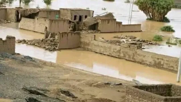 السيول شمال السودان.jpg
