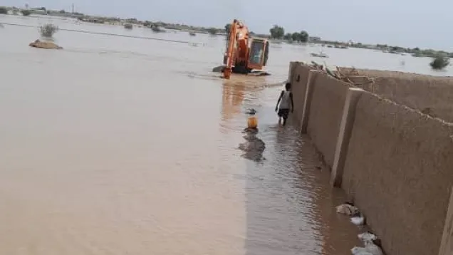 سيول العبيدية.jpg