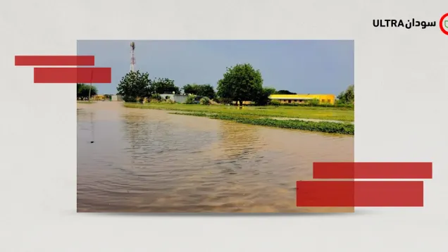 مشروع حلفا الجديدة الزراعي.png