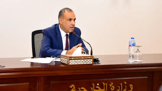 وزير الخارجية المصري - وزارة الخارجية.jpg