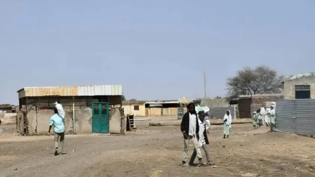 محلية الدالي والمزموم.jpg