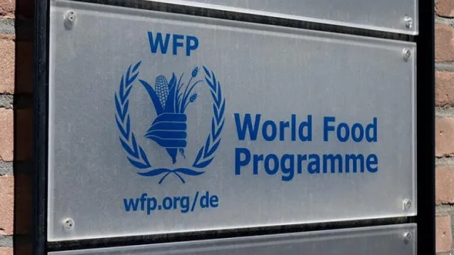 55213900_101-780x470.jpg