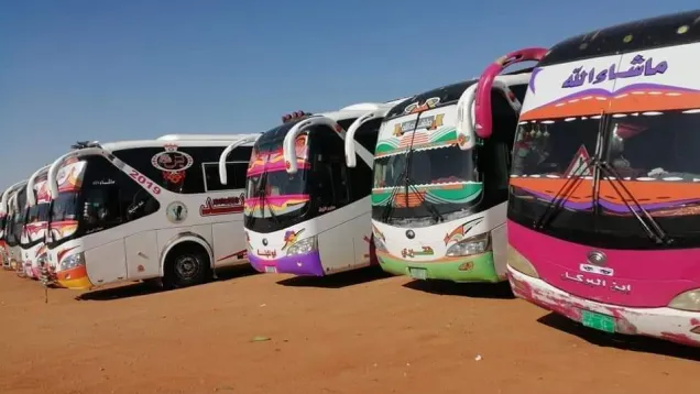 Buses.jpg