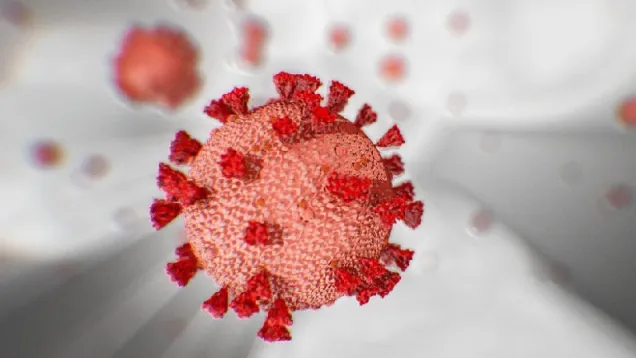 Coronavirus.jpg