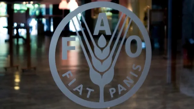 FAO_Logo_Glass.jpg