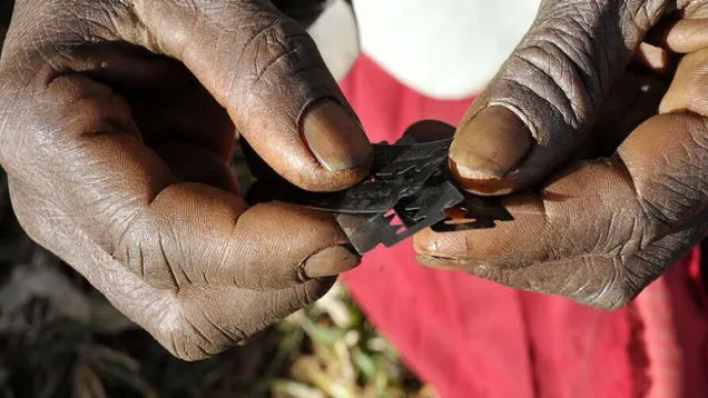 FGM.jpg
