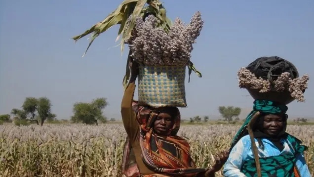 Farmer2-2-3-e1492990947340.jpg
