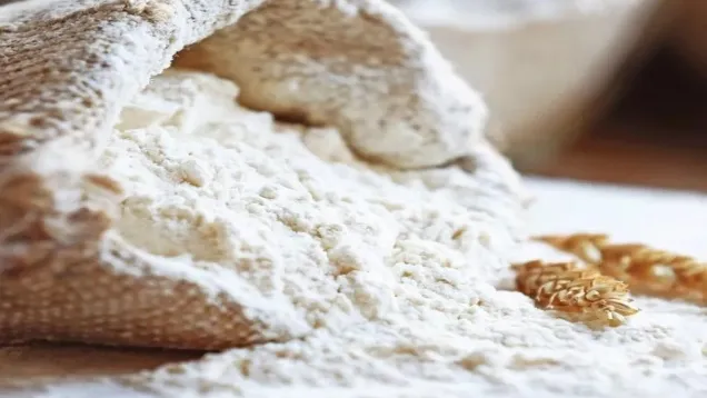 Flour.jpg