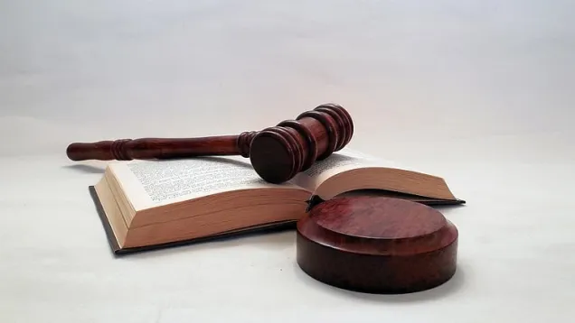 Judge.jpg