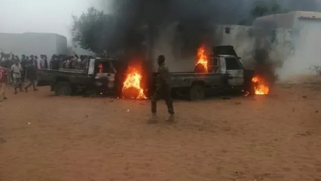 Kot.jpg
