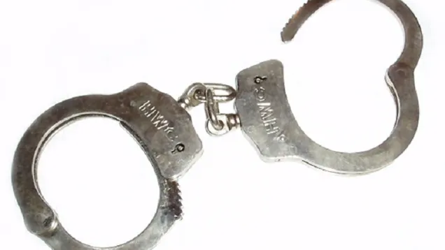 Police_handcuffs_alt.jpg