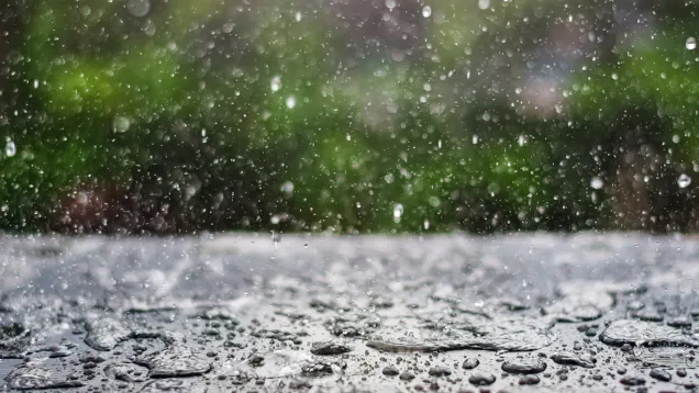 Rain_0.jpg
