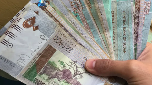 Sudan-currency-sudan-money.jpg