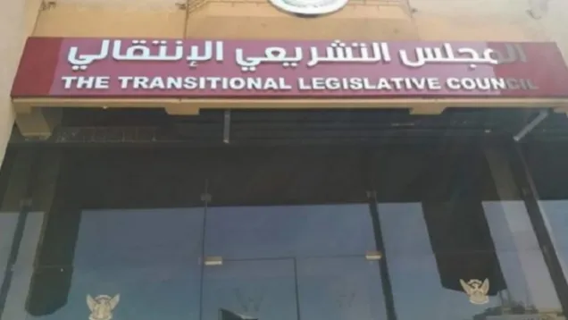 Transitional_2_0_1_0.jpg