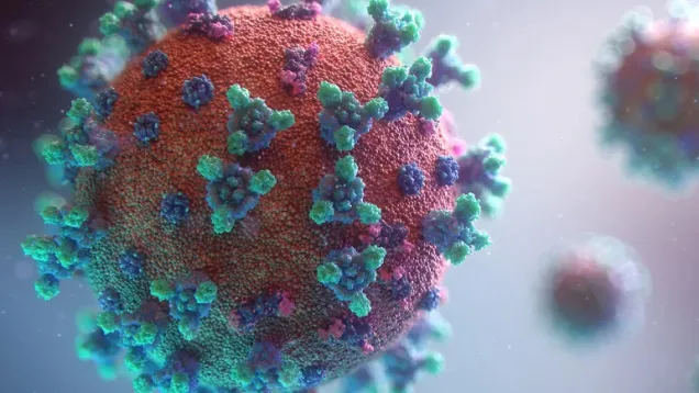 coronavirus-banner-scaled.jpg
