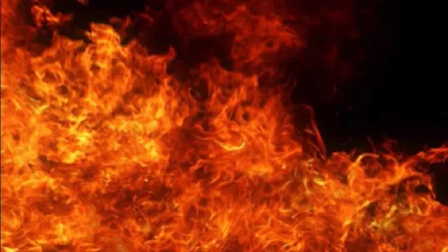 fire14.jpg