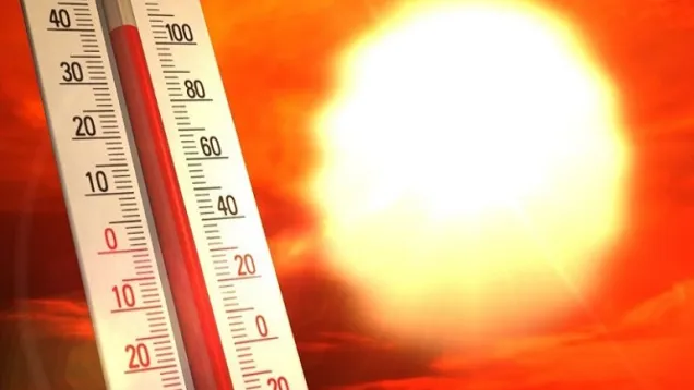heatwave.jpg