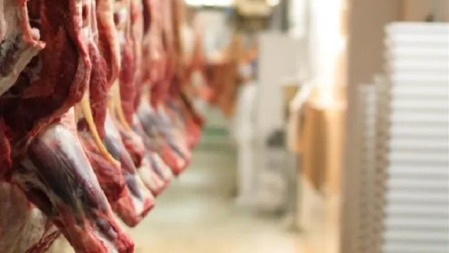 meat_exports_surged_10__led_by_beef_which_partiall_54990e8fc3.JPG