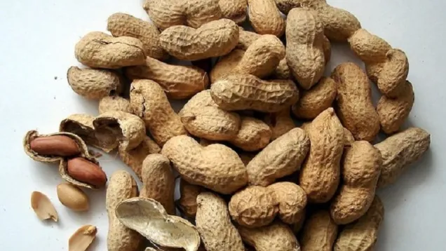peanuts-1112_640-640x470.jpg