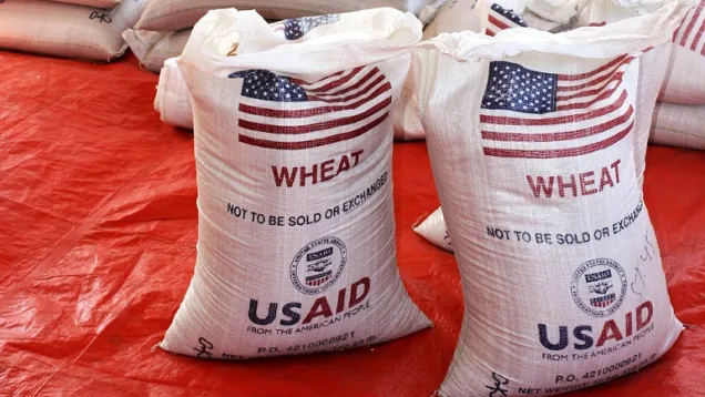 usaid_wheat.jpg