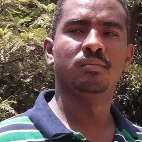 نصر الدين الطيب