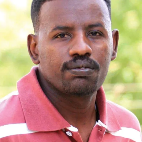 الزين عثمان 