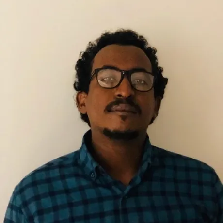 حسان الناصر