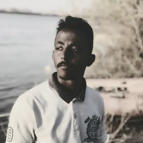 محمد الناصر