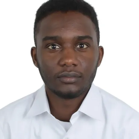 عثمان أحمد يوسف